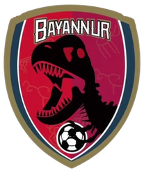  巴彦淖尔队 